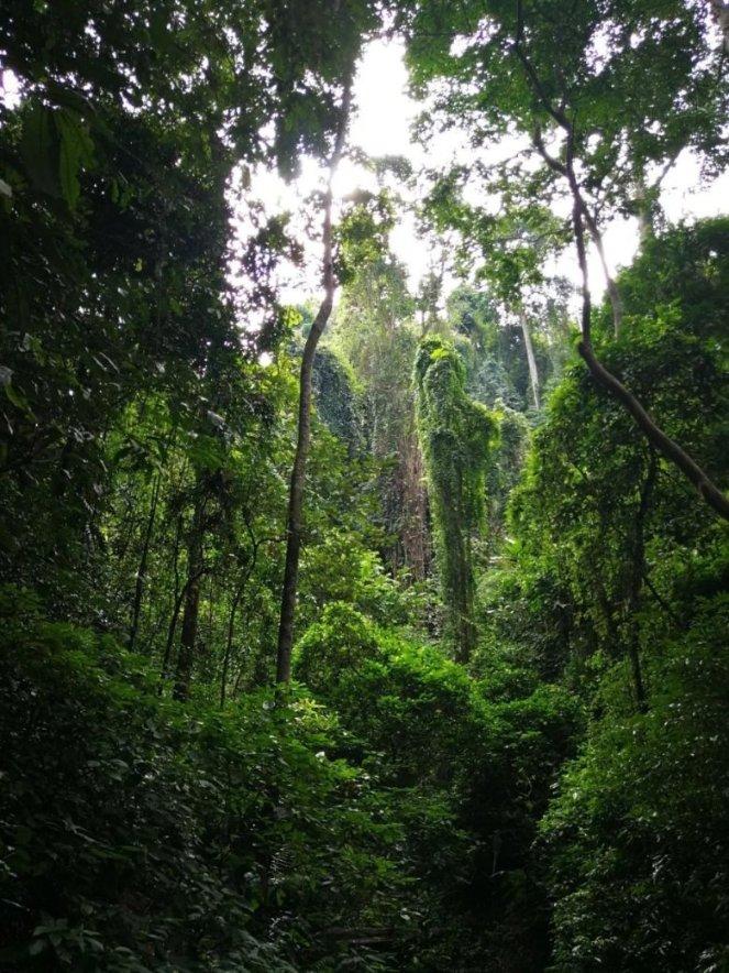 这次旅程用英语怎么说游戏画面