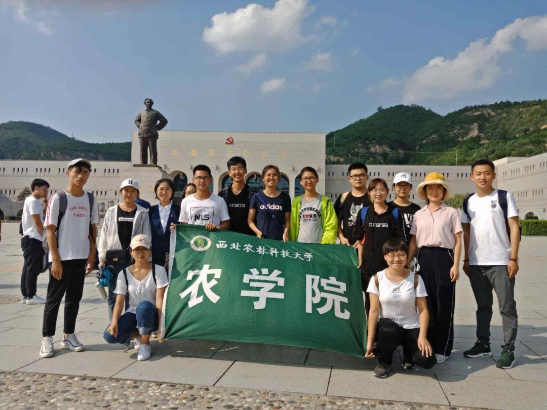 逗小猴开心系列163